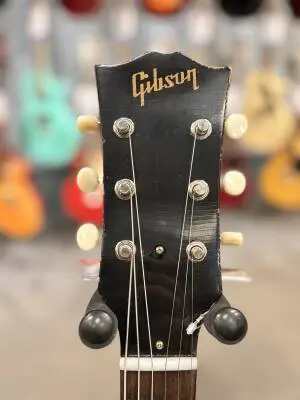 Gibson Murphy Lab SG Junior Silver Fox 2