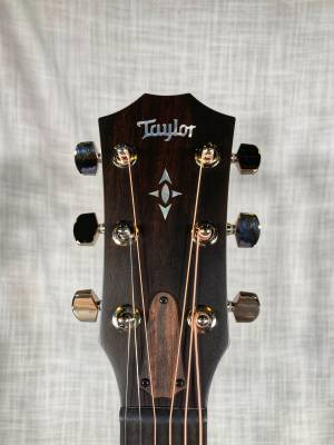 Taylor Guitars - 717 B.E. LH 7
