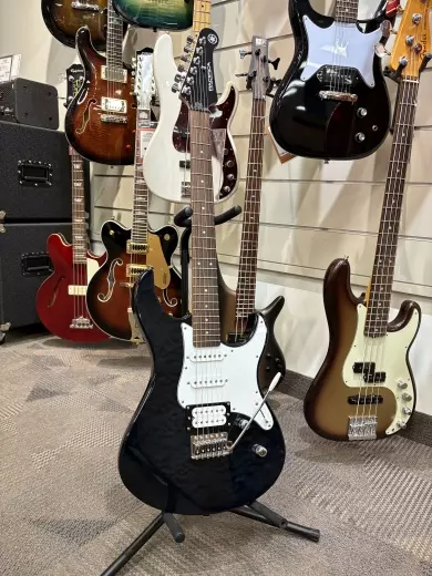 Yamaha PAC212
