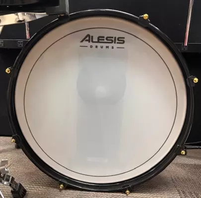 Store Special Product - Alesis - STRIKEPROSE KIT
