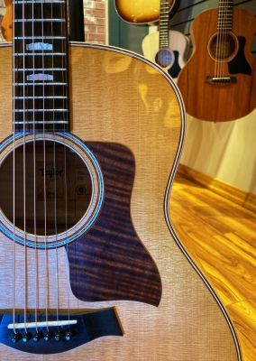 Taylor Guitars - 618E 4