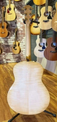 Taylor Guitars - 618E 5