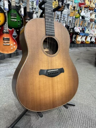 Taylor Guitars - 717E WHB B.E. 2