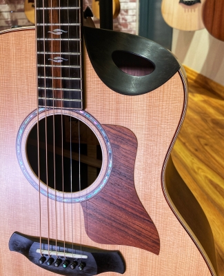 Taylor Guitars - 816CE B.E. 5