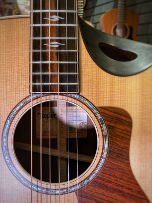 Taylor Guitars - 816CE B.E. 8