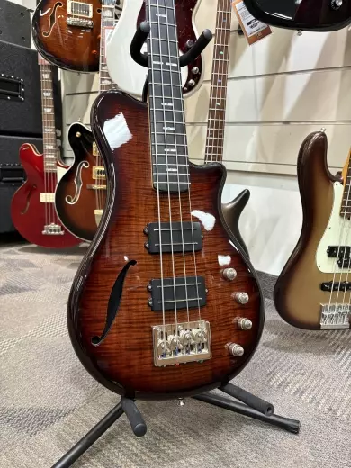Hagstrom Beluga II-F Bass 2