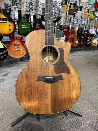 Taylor Guitars - 724CE V1 2