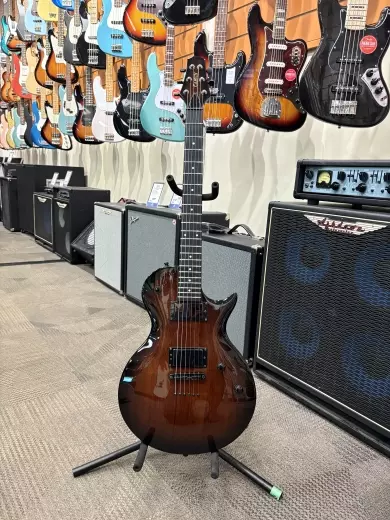 Carvin CS3