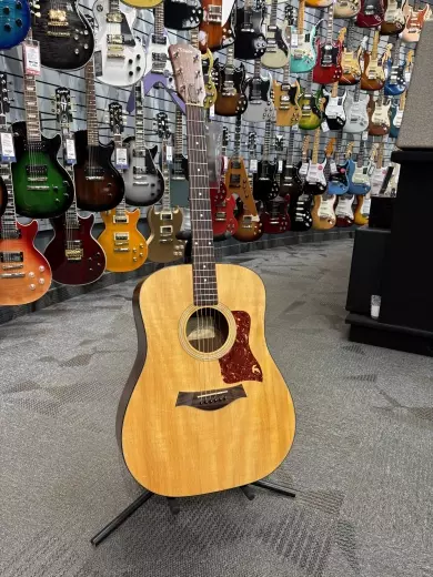Taylor 110
