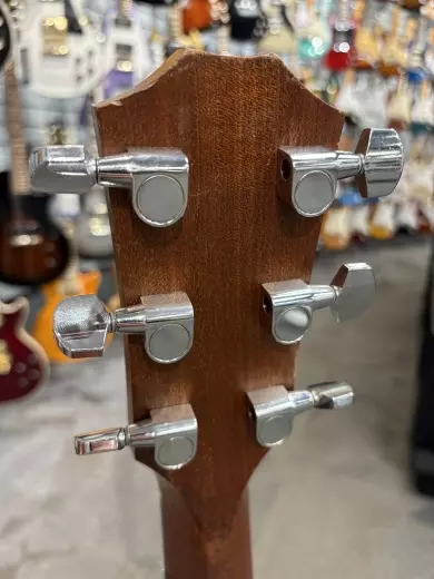 Taylor 110 5