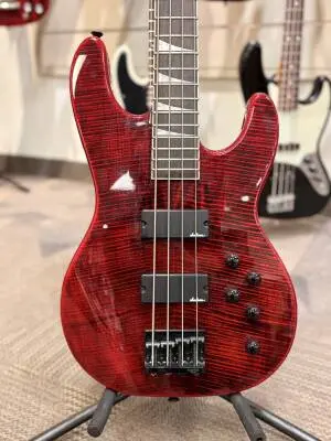 Jackson Guitars - 291-6647-590 2