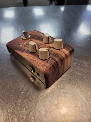 L.R Baggs - LR-ALIGN-CHORUS 2