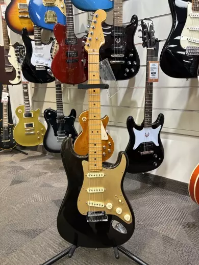 Fender - 011-8012-790
