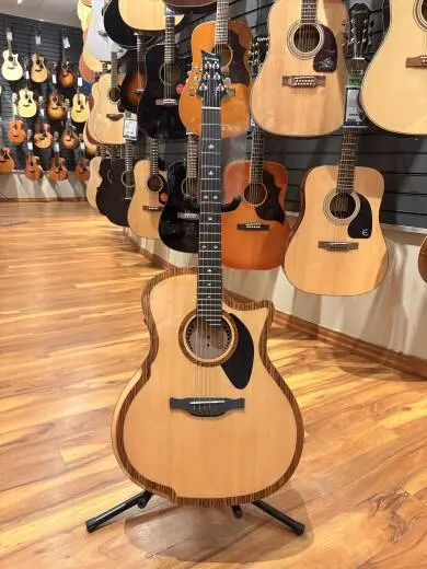 Riversong P2P-GA Acoustic 2