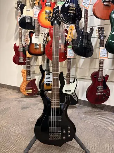 ESP LTD F205 5 String