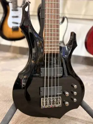 ESP LTD F205 5 String 2