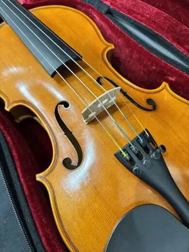 Stratus by Eastman SVL130B 3/4 Violin 2