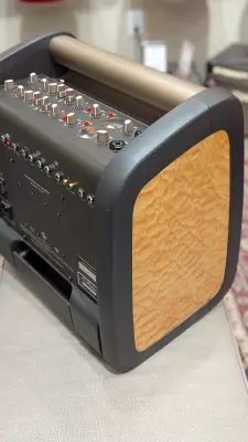 LR Baggs Acoustic Reference Amp 2