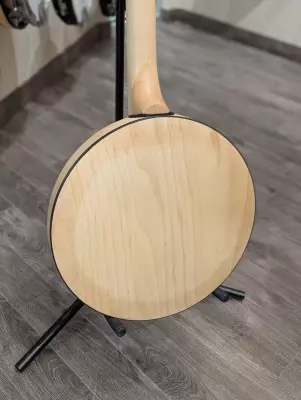 Deering - Goodtime Closed Back 5 String 2