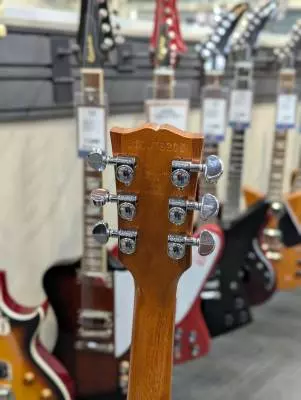 Gibson - Les Paul Tribute Goldtop 2