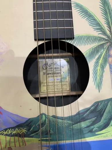 Martin hawaiin 5