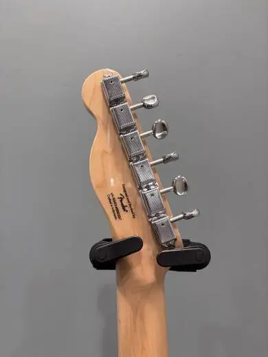 Squier - 037-7008-583 2