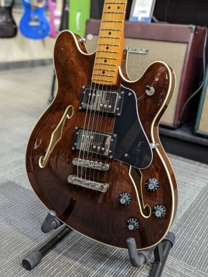 Squier - Starcaster Walnut 2