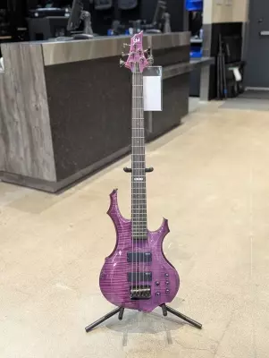 ESP LTD F-155DX 5 String Bass