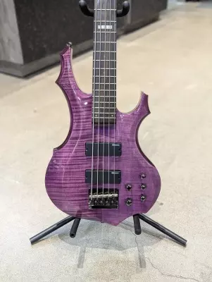 ESP LTD F-155DX 5 String Bass 2