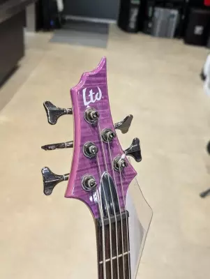 ESP LTD F-155DX 5 String Bass 2