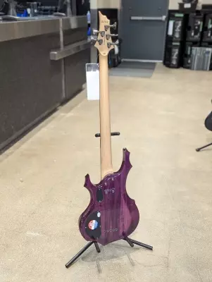 ESP LTD F-155DX 5 String Bass 2