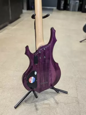 ESP LTD F-155DX 5 String Bass 2