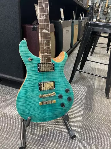 PRS Guitars - 111947::TU: