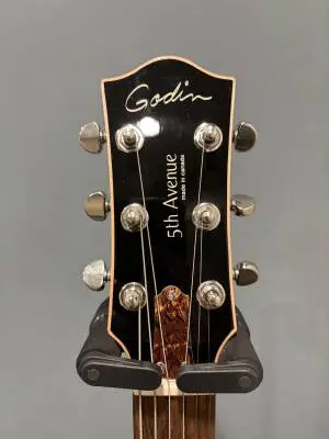 Godin Guitars - 5th Avenue Kingpin HB 2