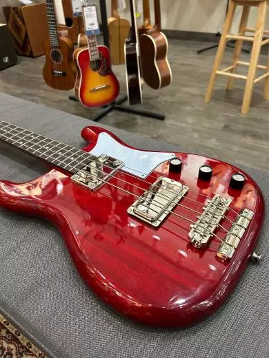 Epiphone - EONB4CHNH 2