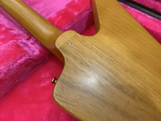 EPI CS KORINA EXPLORER LEFT W/PG W/CS 2
