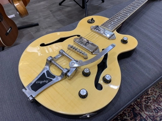 Epiphone - ETWSANNH 2