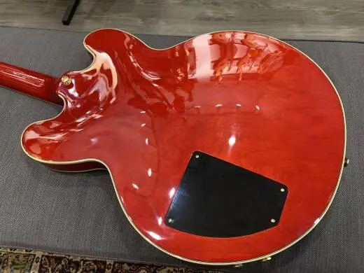 Epiphone - IGBBKCHGH 2