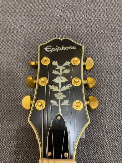 Epiphone - SHEREWBAGGH 5