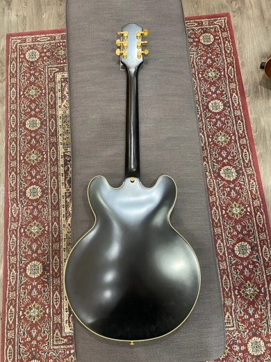 Epiphone - SHEREWBAGGH 6