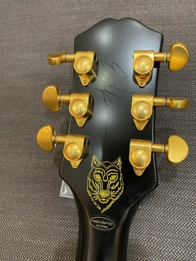 Epiphone - SHEREWBAGGH 7