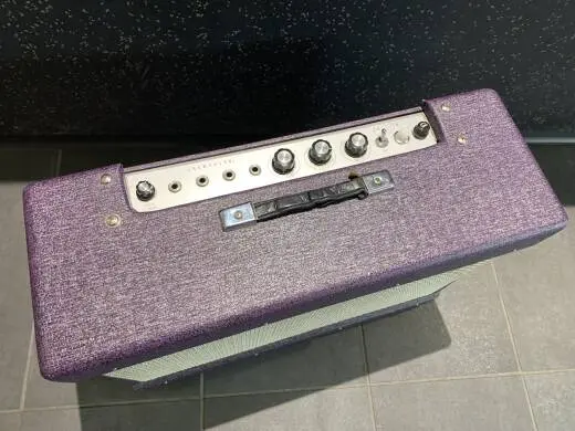 Beltone by Teisco AP-24 2x10 Tube Combo 2