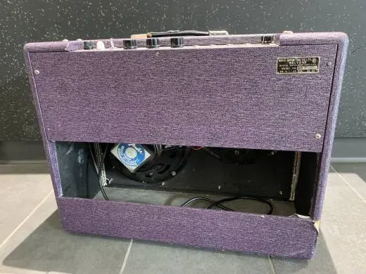 Beltone by Teisco AP-24 2x10 Tube Combo 2