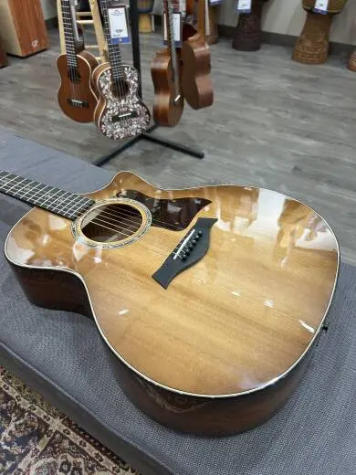 Taylor Guitars - 514CE IB 2