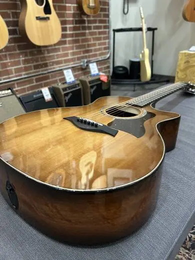 Taylor Guitars - 514CE IB 2