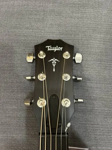 Taylor Guitars - 514CE IB 2