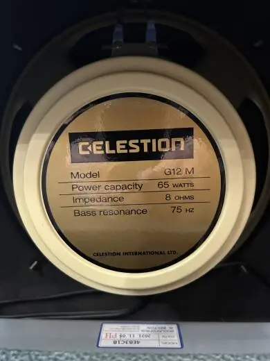 Store Special Product - Traynor 20th Anniversary YCV40 - Green