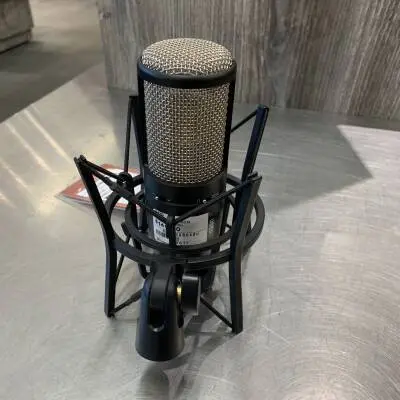 LARGE DIAPHRAGM MULTI-PATTERN MICROPHONE 2