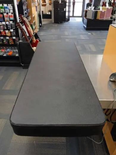 Epiphone - EIFVEBNH 2