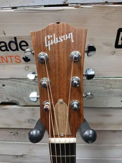 Gibson - ACG20ANNH 2